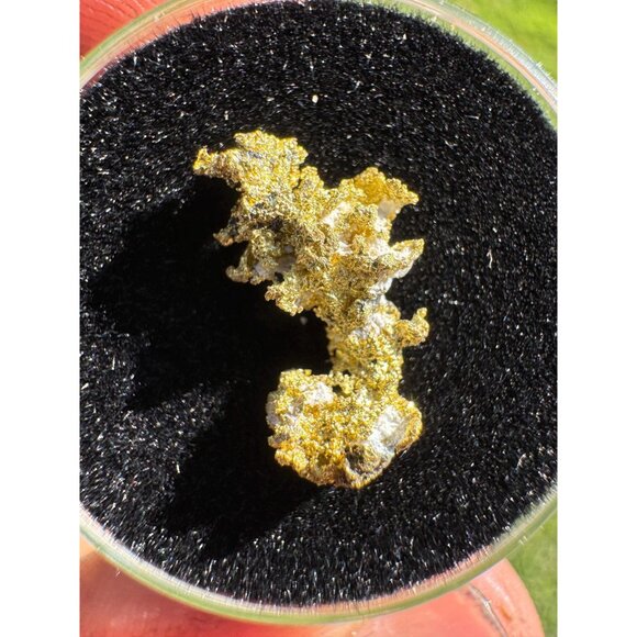 California Native Gold Crystal - 0.83 grams - Picture 8 of 9